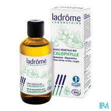 Charger l'image dans la galerie, Ladrome Calophyllumolie 100ml
