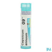 Load image into Gallery viewer, Capsicum Annuum 9ch Gr 4g Boiron
