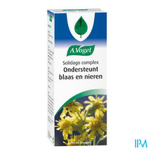 Afbeelding in Gallery-weergave laden, A.Vogel Solidago Complex 100ml
