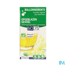 Afbeelding in Gallery-weergave laden, Biolys Venkel Bio Tea-bags 20
