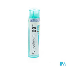 Afbeelding in Gallery-weergave laden, Folliculinum 9ch Gr 4g Boiron

