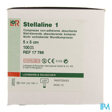 Afbeelding in Gallery-weergave laden, Stellaline 1 Komp Ster 5,0x 5,0cm 100 17786

