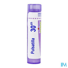 Afbeelding in Gallery-weergave laden, Pulsatilla 30k Gr 4g Boiron
