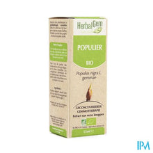 Charger l'image dans la galerie, Herbalgem Populier Maceraat 15ml
