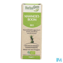 Charger l'image dans la galerie, Herbalgem Sequoia Maceraat 15ml
