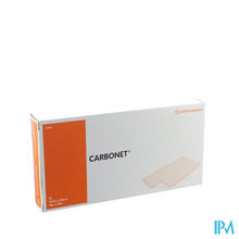 Load image into Gallery viewer, Carbonet Verb Anti Geur 10x20cm 10 7065
