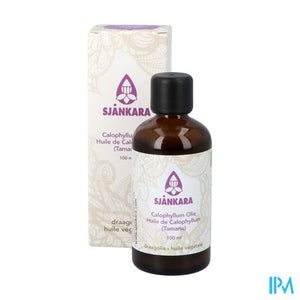 Sjankara Calophyllum Plant. Olie Bio 100ml