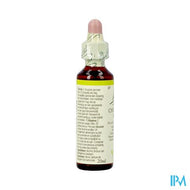 Bach Flower Remedie 07 Chestnut Bud 20ml