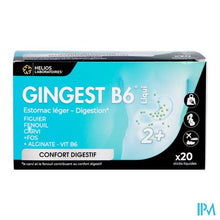 Load image into Gallery viewer, Gingest B6 Liqui Sticks 20x15ml
