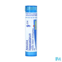 Afbeelding in Gallery-weergave laden, Aesculus Hippocastanum 9ch Gr 4g Boiron
