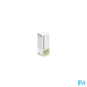 Pranarom Eo Geranium Egyptisch 10ml