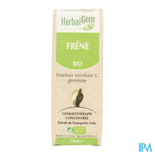 Charger l'image dans la galerie, Herbalgem Es Maceraat 15ml
