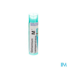Load image into Gallery viewer, Gelsemium Sempervirens Mk Gr 4g Boiron
