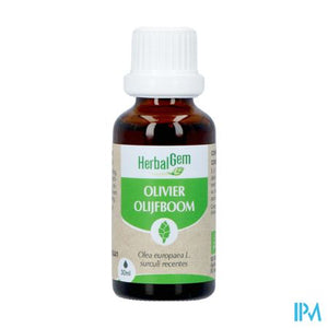 Herbalgem Olijfboom Bio 30ml