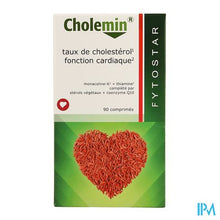Charger l'image dans la galerie, Fytostar Cholemin Maxi Comp 90

