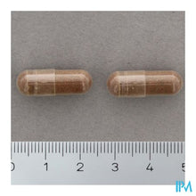 Load image into Gallery viewer, Glucoril  120 Caps Nutrisan
