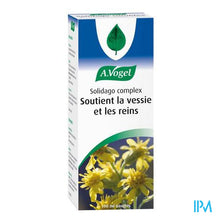 Afbeelding in Gallery-weergave laden, A.Vogel Solidago Complex 100ml
