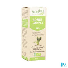 Charger l'image dans la galerie, Herbalgem Hondsroos Maceraat 15ml
