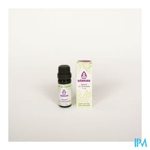 Charger l'image dans la galerie, Sjankara Niaouli Ess. Olie Bio 11ml

