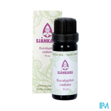 Afbeelding in Gallery-weergave laden, Sjankara Eucalyptus Radiata Ess. Olie Bio 11ml
