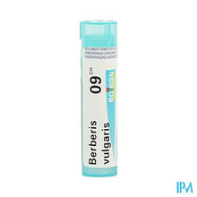 Charger l'image dans la galerie, Berberis Vulgaris 9ch Gr 4g Boiron
