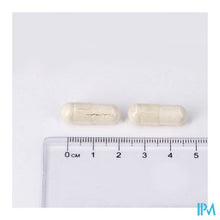 Charger l'image dans la galerie, Dolomite 500mg Caps 60 Lepivits
