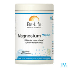 Load image into Gallery viewer, Magnesium Magnum Minerals Be Life Nf Gel 60
