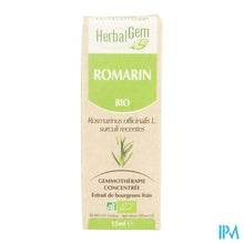 Afbeelding in Gallery-weergave laden, Herbalgem Rozemarijn Maceraat 15ml

