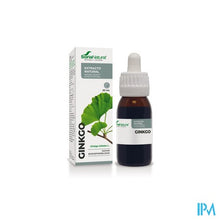 Afbeelding in Gallery-weergave laden, Soria Ginkgo Biloba Xxi Extr.fl. 50ml
