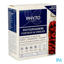 Load image into Gallery viewer, Phytophanere Duo Caps 2x120
