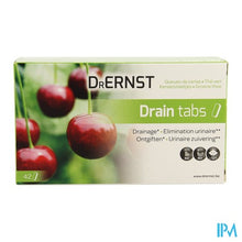 Afbeelding in Gallery-weergave laden, Dr Ernst Drain tabs 42 Tabl
