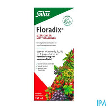 Load image into Gallery viewer, Salus Floradix Elexir 250ml
