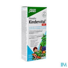 Afbeelding in Gallery-weergave laden, Floradix Kindervital Fruity 250ml
