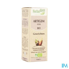 Afbeelding in Gallery-weergave laden, Herbalgem Artigem Complex 15ml
