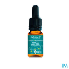Charger l'image dans la galerie, Ladrome Maskerbloem/mimulus 10ml
