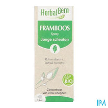 Charger l'image dans la galerie, Herbalgem Frambozenstruik Bio Spray 15ml
