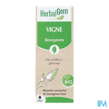 Afbeelding in Gallery-weergave laden, Herbalgem Wijnstok Maceraat Bio 30ml
