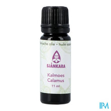 Load image into Gallery viewer, Sjankara Kalmoes Ess. Olie 11ml
