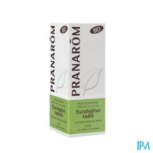 Load image into Gallery viewer, Eucalyptus Radie Bio Ess Olie 10ml Pranarom
