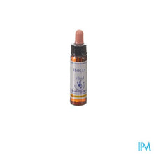 Afbeelding in Gallery-weergave laden, Healing Herbs Holly 10ml
