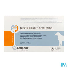Load image into Gallery viewer, Protecdiar Forte Hond Tabl 96
