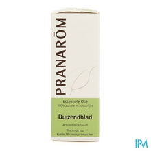 Load image into Gallery viewer, Pranarom Eo Duizendblad 5ml
