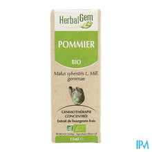 Charger l'image dans la galerie, Herbalgem Appelboom Maceraat 15ml

