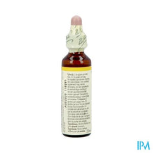 Charger l'image dans la galerie, Bach Flower Remedie 36 Wild Oat 20ml

