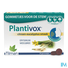 Afbeelding in Gallery-weergave laden, Plantivox Pastilles 24
