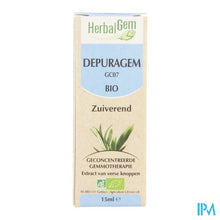 Charger l'image dans la galerie, Herbalgem Depuragem Complex Bio 15ml

