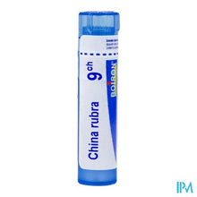 Load image into Gallery viewer, China Rubra 9ch Gr 4g Boiron
