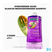 Load image into Gallery viewer, Klorane Capil. Sh Cactusvijg &amp; Henna 400ml
