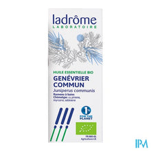 Charger l'image dans la galerie, Ladrome Juniperus Communis/jeneverbesstruik 10ml
