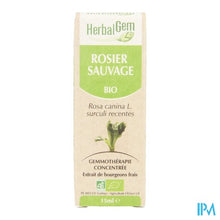 Charger l'image dans la galerie, Herbalgem Hondsroos Maceraat 15ml
